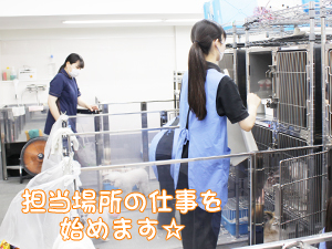 ２年生、子犬のお世話☆